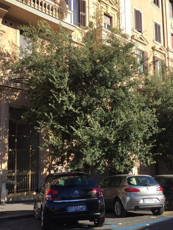 Vatican Accommodations Roma Esterno foto